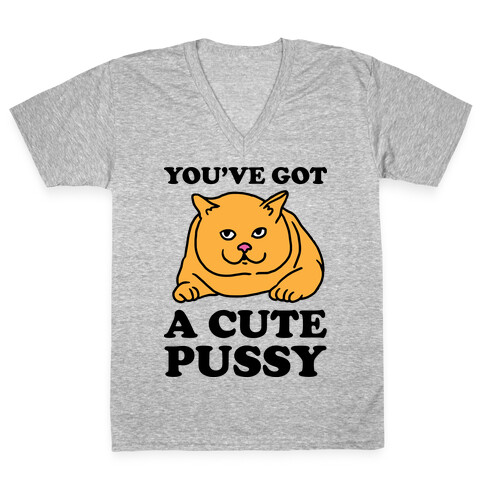 You've Got a Cute Pussy V-Neck Tee Shirt
