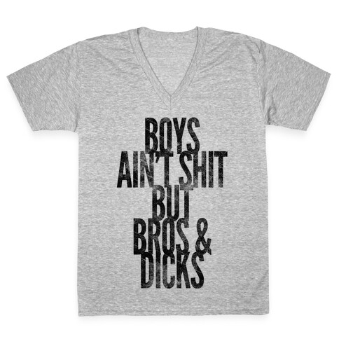 Boys Ain't Shit But Bros And Dicks V-Neck Tee Shirt