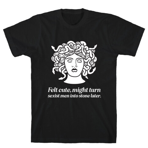 Felt Cute, Might Turn Sexist Men Into Stone Later.  T-Shirt