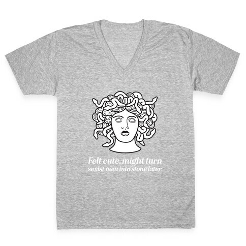 Felt Cute, Might Turn Sexist Men Into Stone Later.  V-Neck Tee Shirt